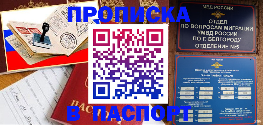 купить прописку в Майкопе